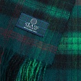 картинка Clans of Scotland Ross Hunting от магазина  Mykilt